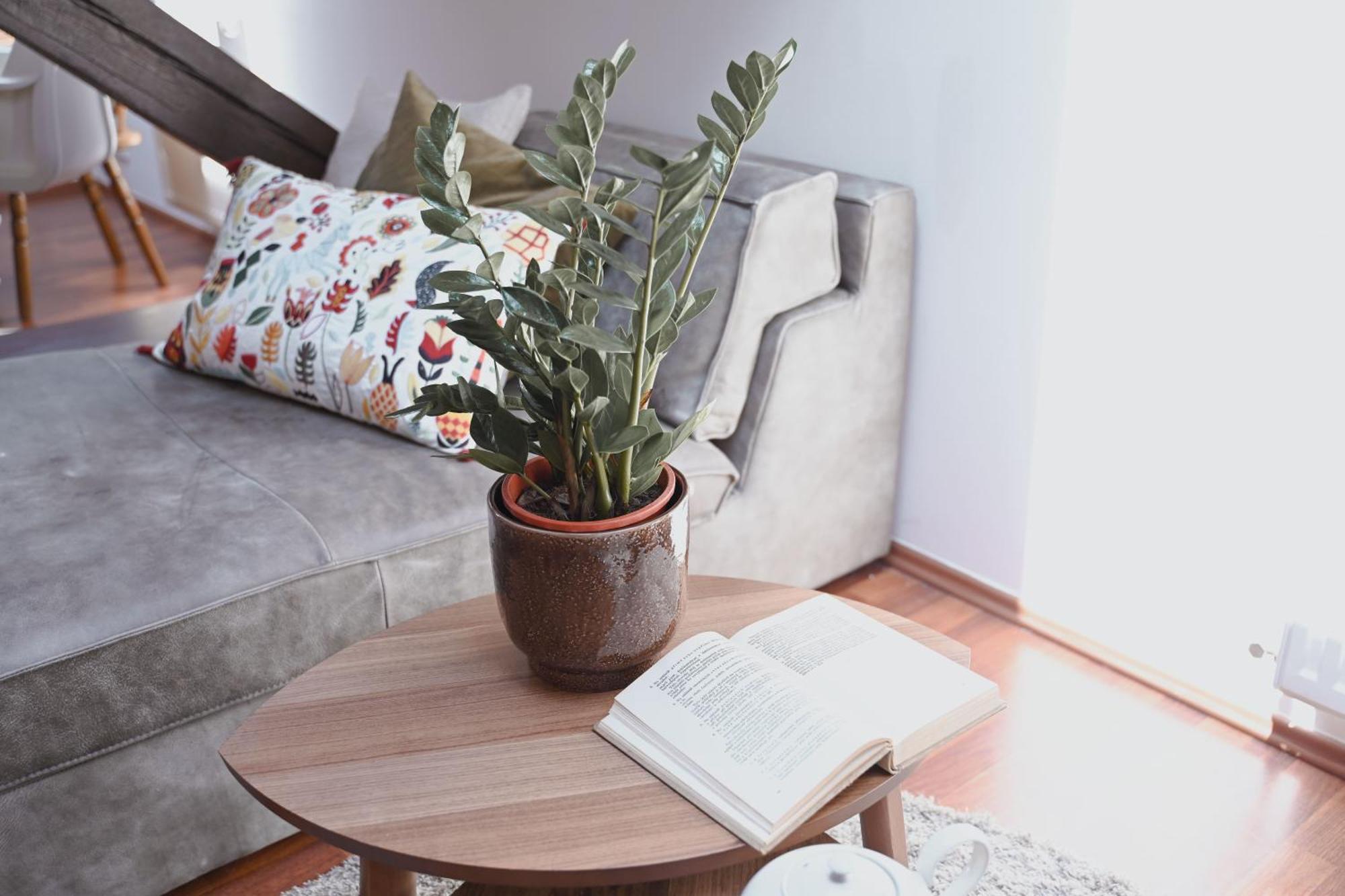 Bohemian Symphony Apartment Prague Ngoại thất bức ảnh